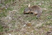 81 - Banff,Lake Louise,Morraine Lake  - IMG_0786